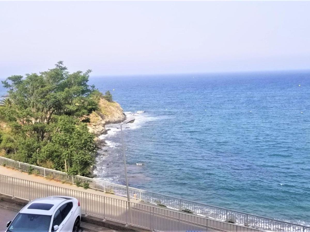 Appartement T3 A Banyuls, Climatise, Proche Plage - Fr-1-309-281 ภายนอก รูปภาพ